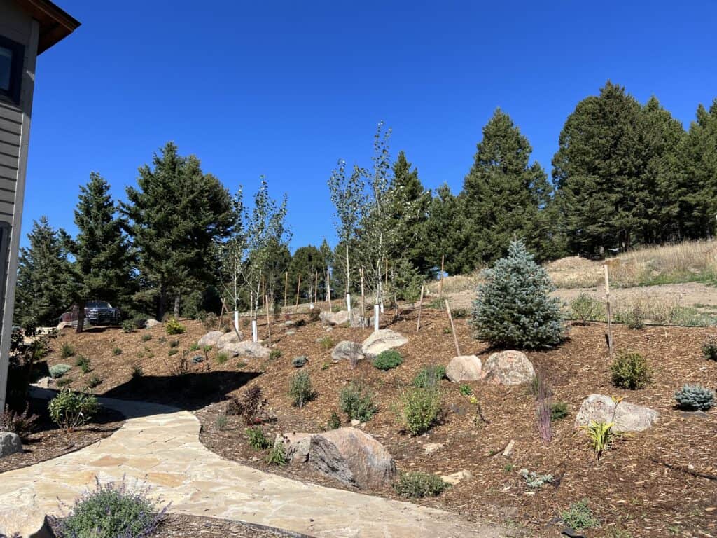 Landscape Design