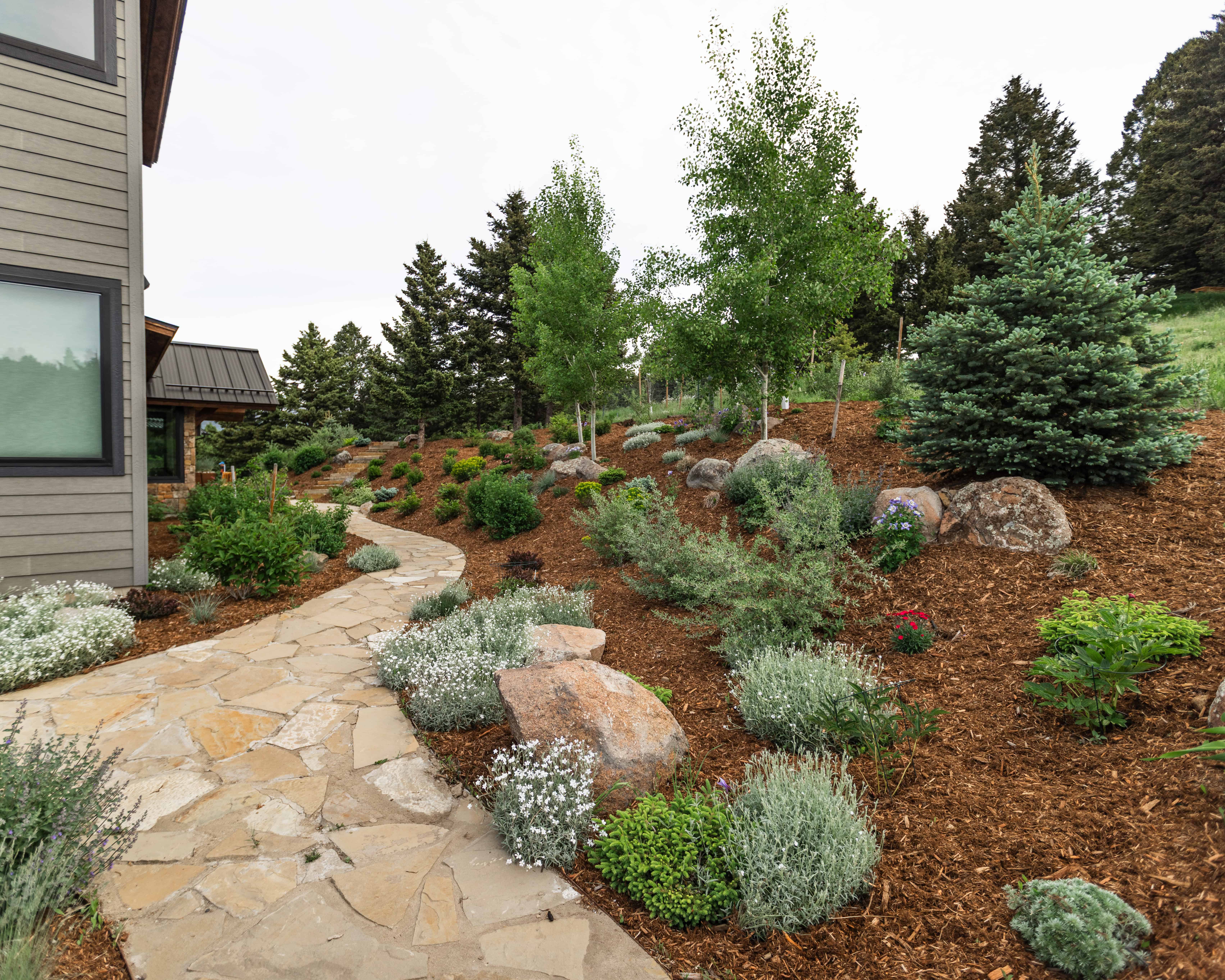 Flagstone walkway through a landscaped garden with boulders and native plantings