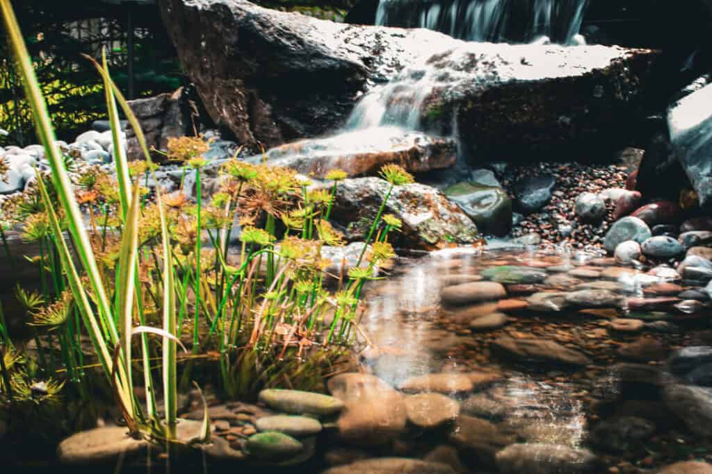 Discover premium water features tailored for Montana's climate.