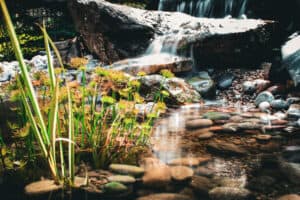 Discover premium water features tailored for Montana's climate.