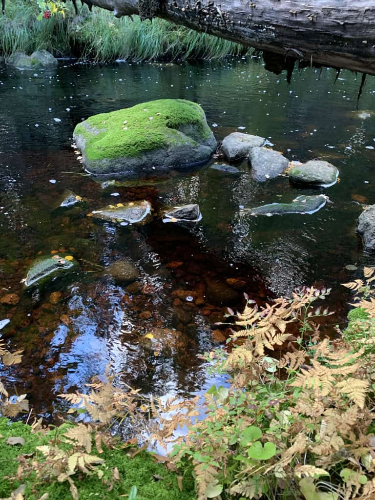 Water Feature & Spatial Psychology Ideas That Will Transform Your Landscape